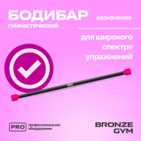 Палка гимнастическая профессиональная бодибар BRONZE GYM FA-BDB1 1 кг
