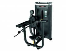 Бицепс/трицепс ULTRAGYM Classic Industrial UG-IN1990